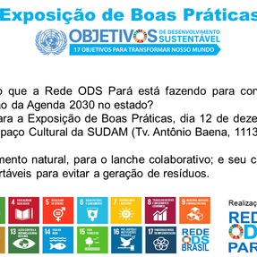 1ª Exposição de Boas Práticas da Rede ODS Pará