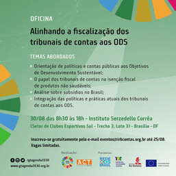 Oficina Alinhando a fiscalização dos Tribunais de Contas aos ODS