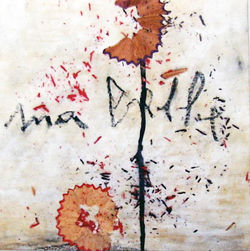IMAG0010.JPG
