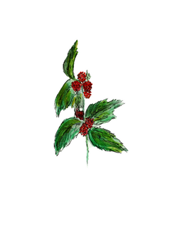 raspberries