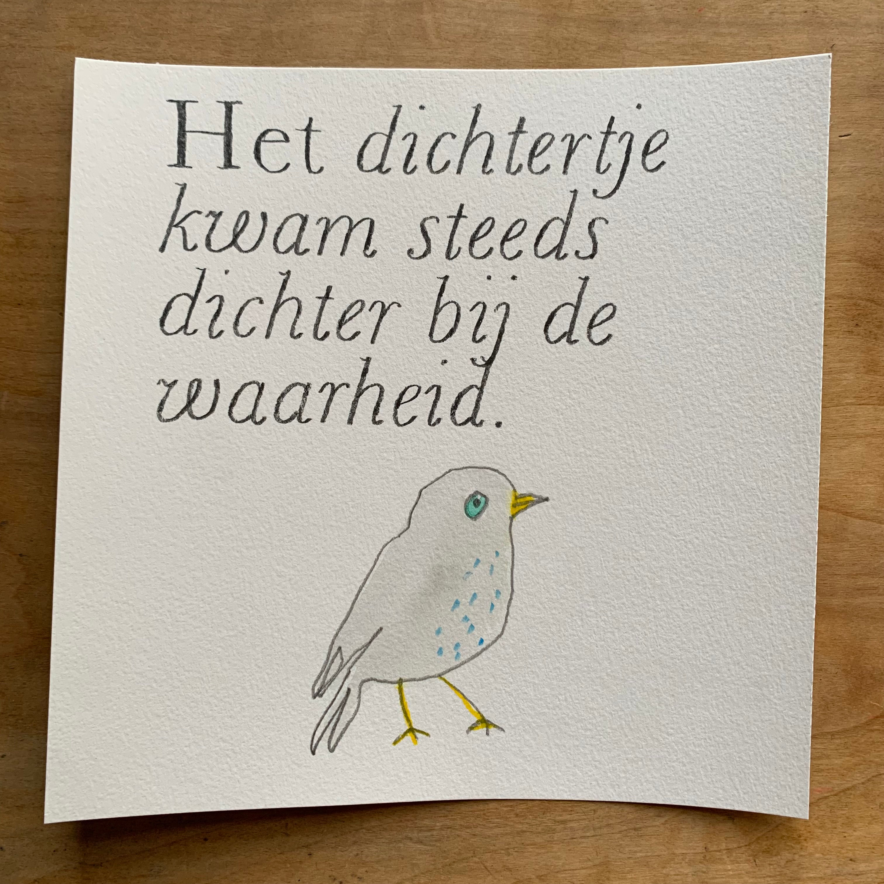 Boekvogels #27