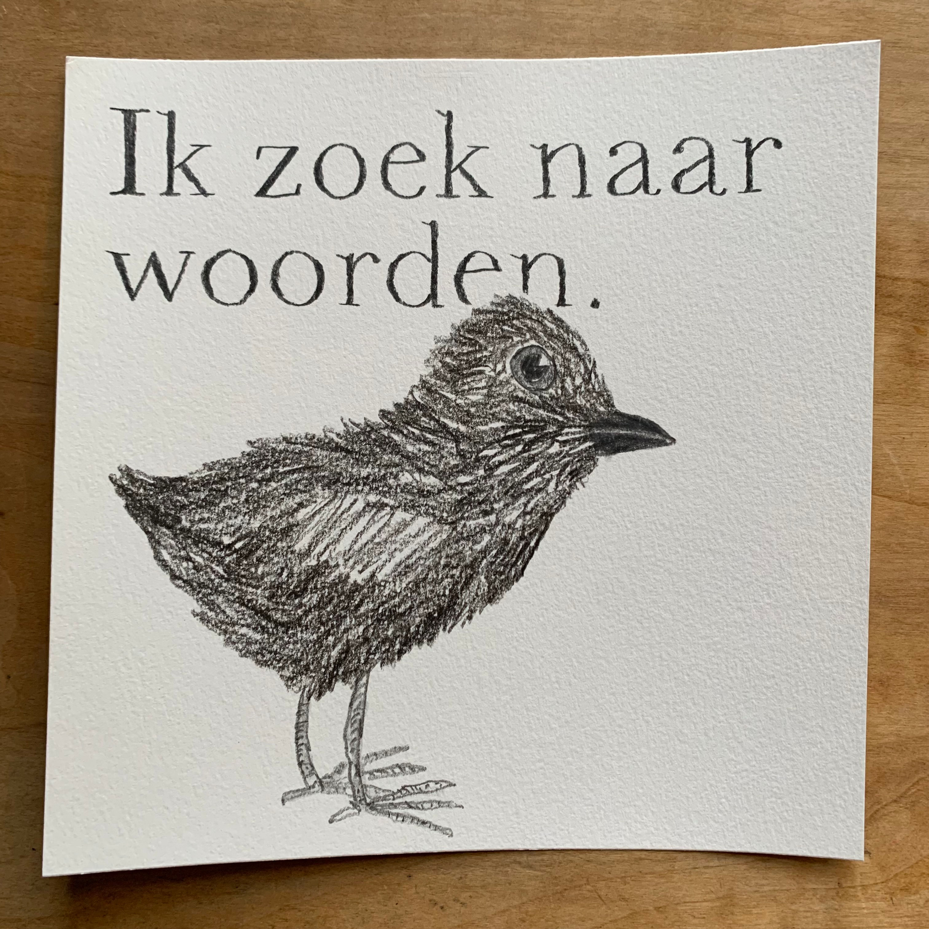 Boekvogels #23