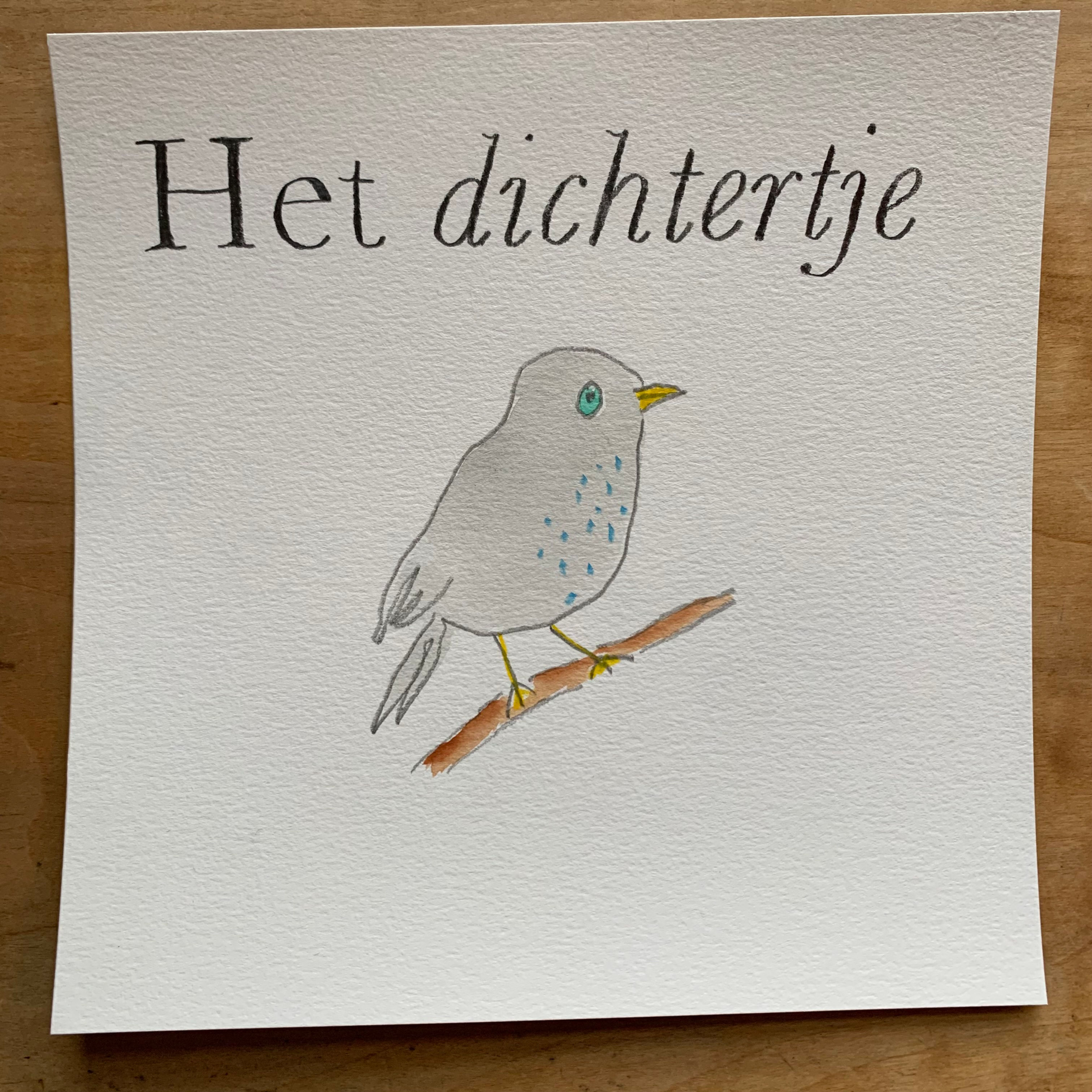 Boekvogels #11