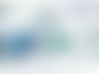 Data Extraction + VAT Compliance: 