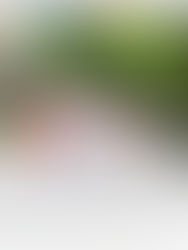 인도네시아 인기 포럼 [KASKUS카스쿠스]에 유메야카타가 소개되었습니다!