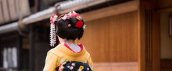 maiko-1