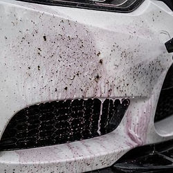 Spraying cleaner on a car bumper for bug and tar removal