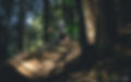 Lone-Parabellum-Test-Copyright-OBeart-Vojomag-16.jpg