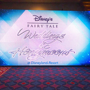Disney's Fairytale Wedding Showcase