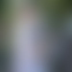 Animal Encounters at Australia Zoo