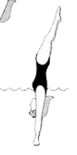 Dive positions.png