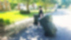 Hauling trash_edited.jpg