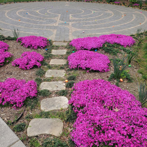 Labyrinth with flowers.jpeg