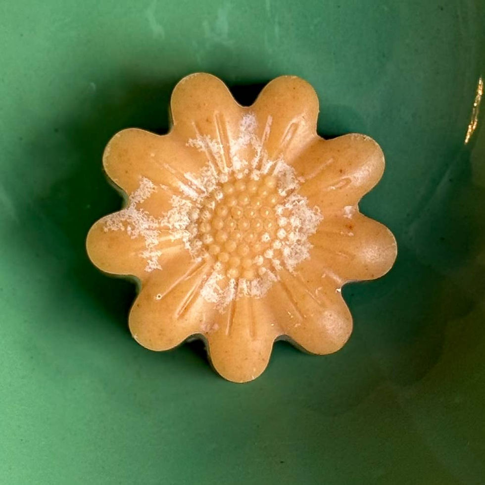 Thumbnail: Honey Turmeric Tallow Face Bar Soap & Frankincense Face Wash