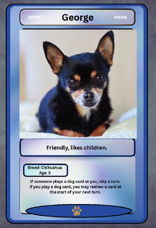 George card: a chihuahua, age 5.
