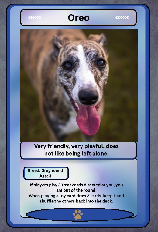 Oreo card: a greyhound, age 3.