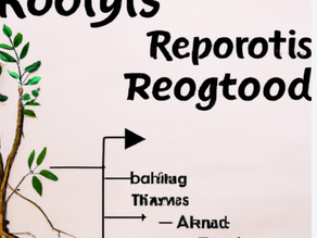 Unveiling the Art of Issue Diagnosis: A Toolkit for Root Cause Analysis