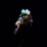 Gan1.jpeg