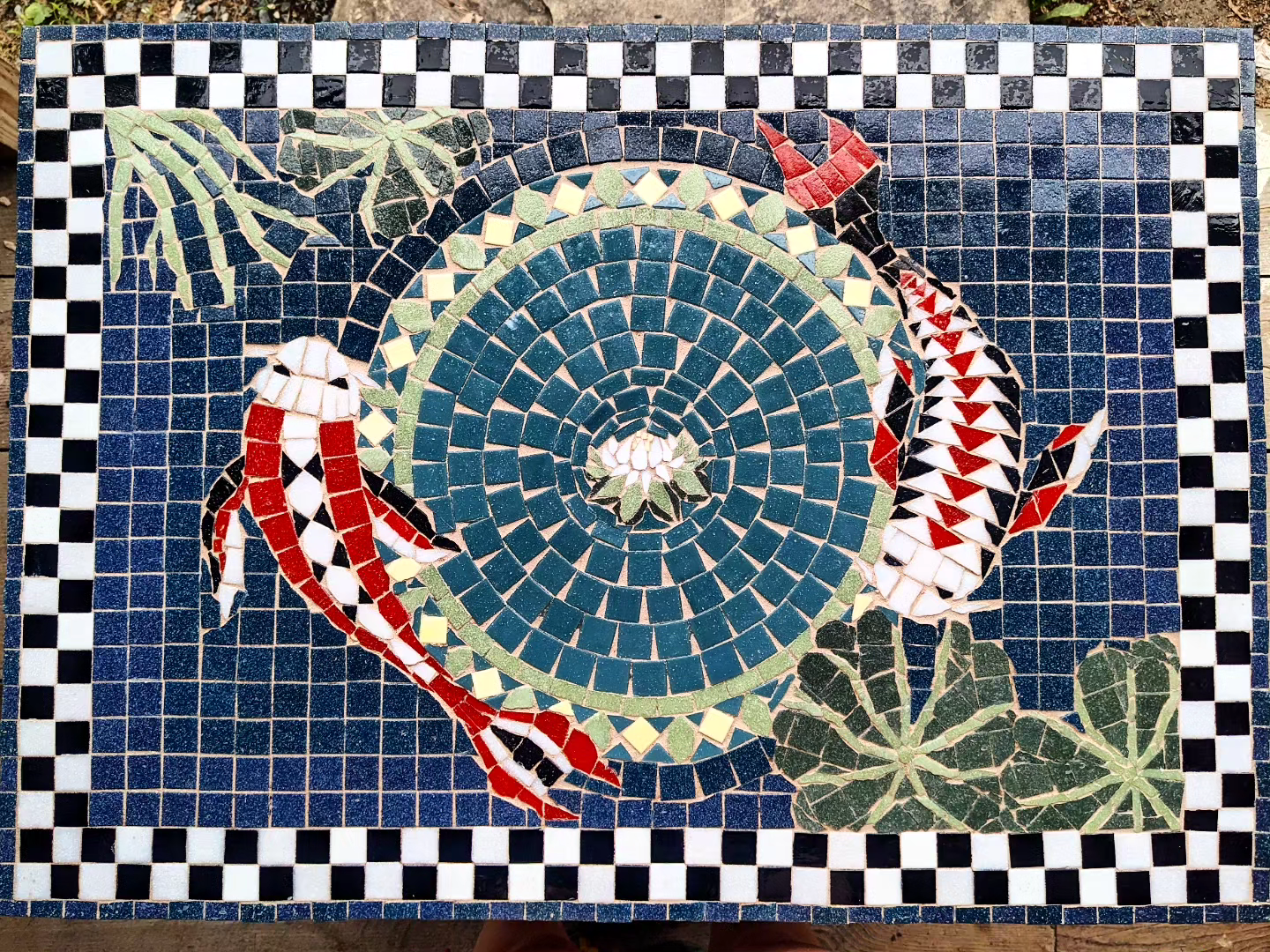 Koi Fish Pond 