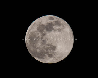 moon 4-7-20 (1 of 1) WM2.jpg