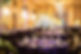 bridges purple.jpg