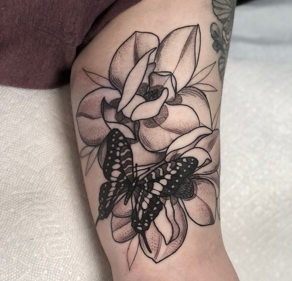 magnolia butterfly b&G.JPG
