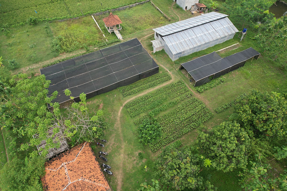 DJI_0230.JPG