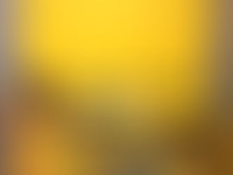 Budget-Friendly Grocery spots | Our recommendations for international students