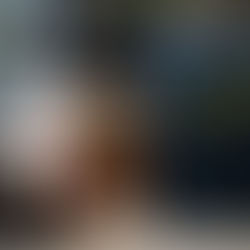 Renovation + Evictions | Renovictions, what are they and why they affect you