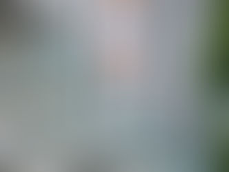 A closer look at SELC College | The best option for Work & Study Programs in Vancouver