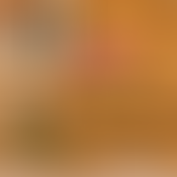 Understanding Credit Scores in Canada