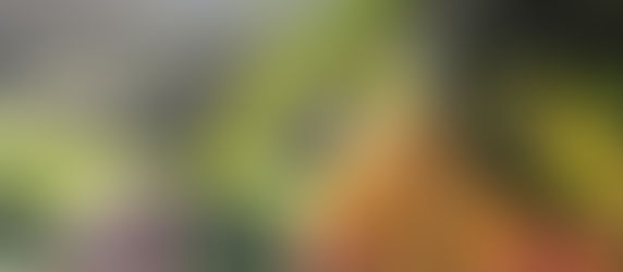 'Ενα αλυσοπρίονο…