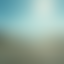 What to Know About Private Transportation from the Airport in Jamaica