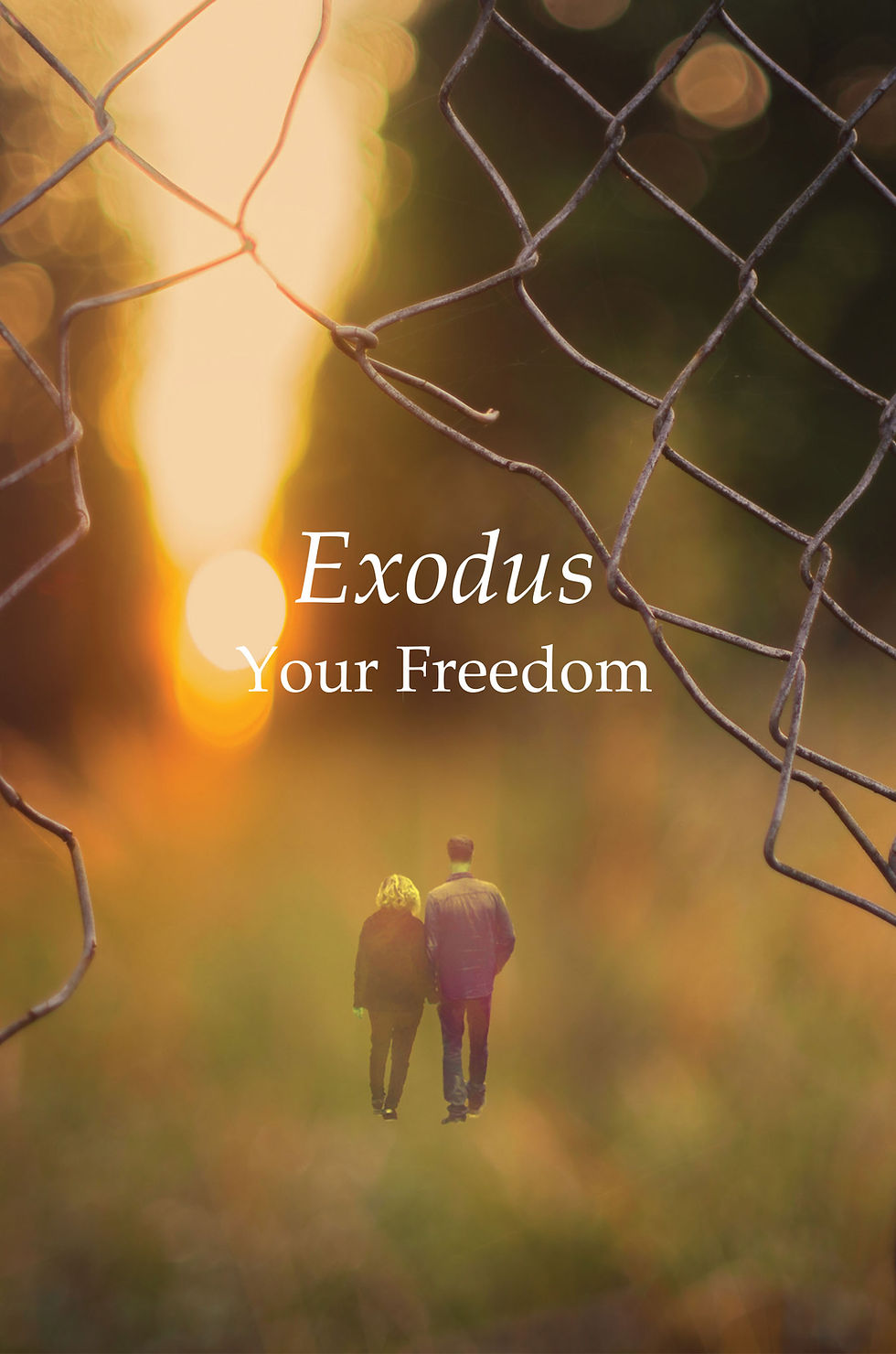 Exodus Chapter 2 Image