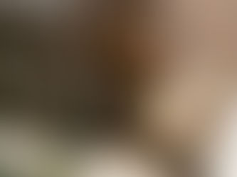 Vehicle accident liability