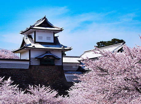 AdobeStock_378957013.jpeg