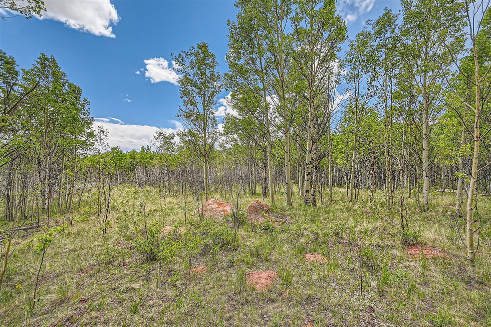 612 Iron Mountain