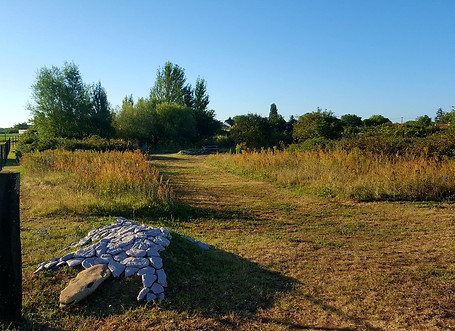 20200729_081434.jpg