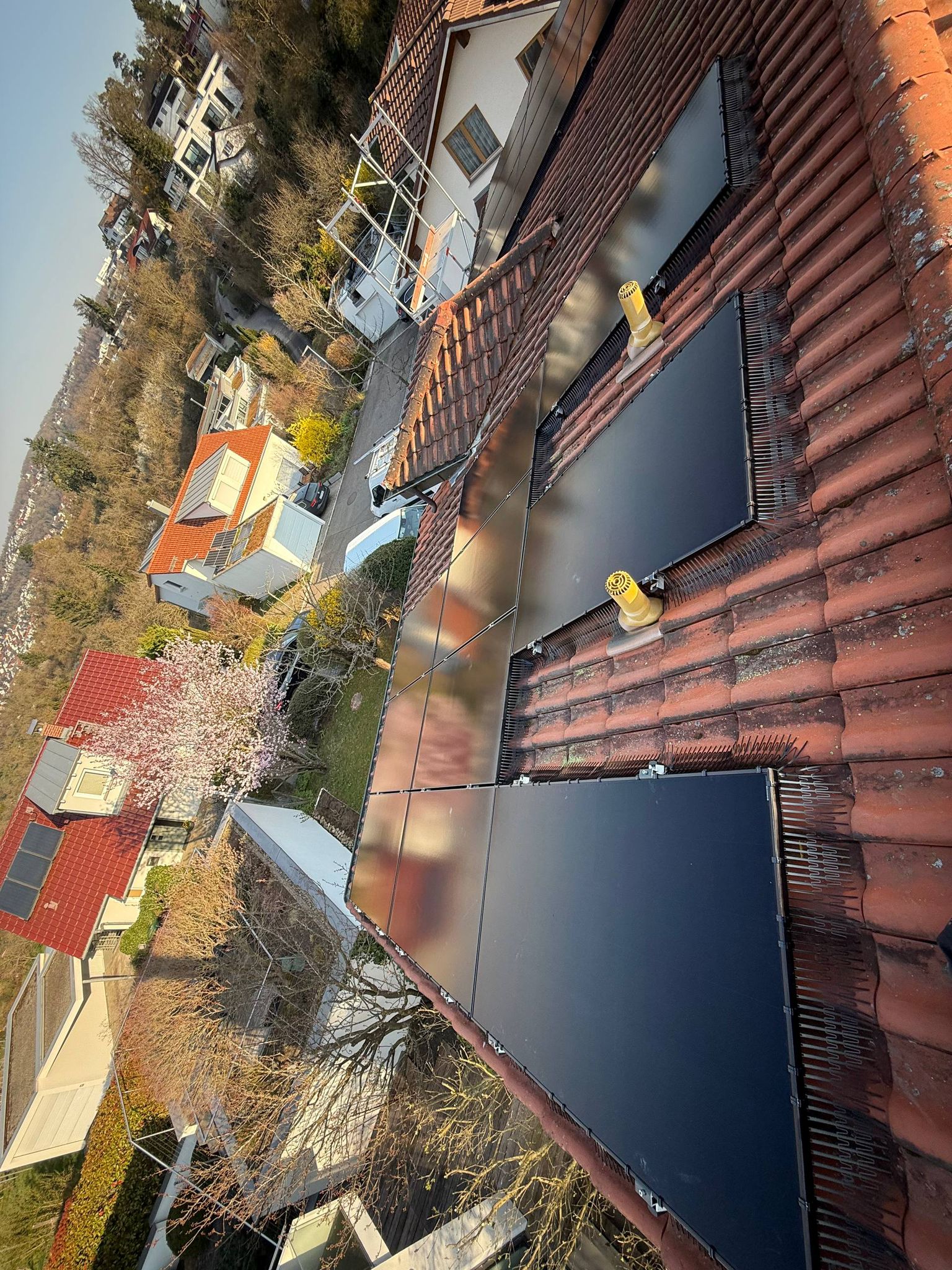 Professional bird protection system installed on solar panels