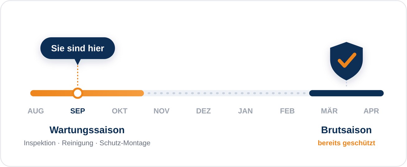 Zeitachse: Wartungssaison August bis Oktober — jetzt montieren, zur Brutsaison im Frühjahr bereits geschützt — PV Protector®