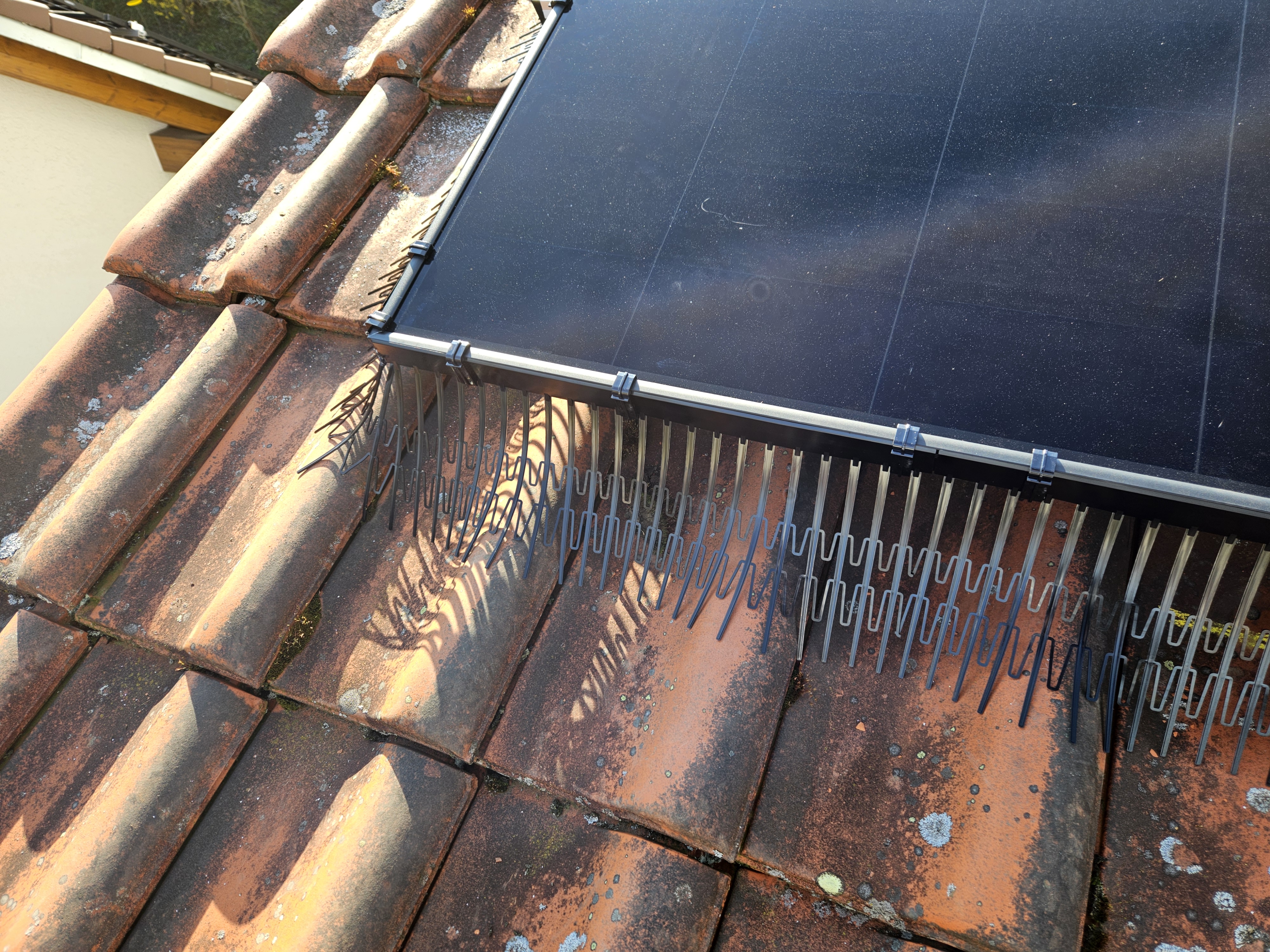 nido sotto pannelli fotovoltaici evitato: Perimeter Segment fissato con C-Clips sul telaio inferiore del modulo sopra le tegole — PV Protector®