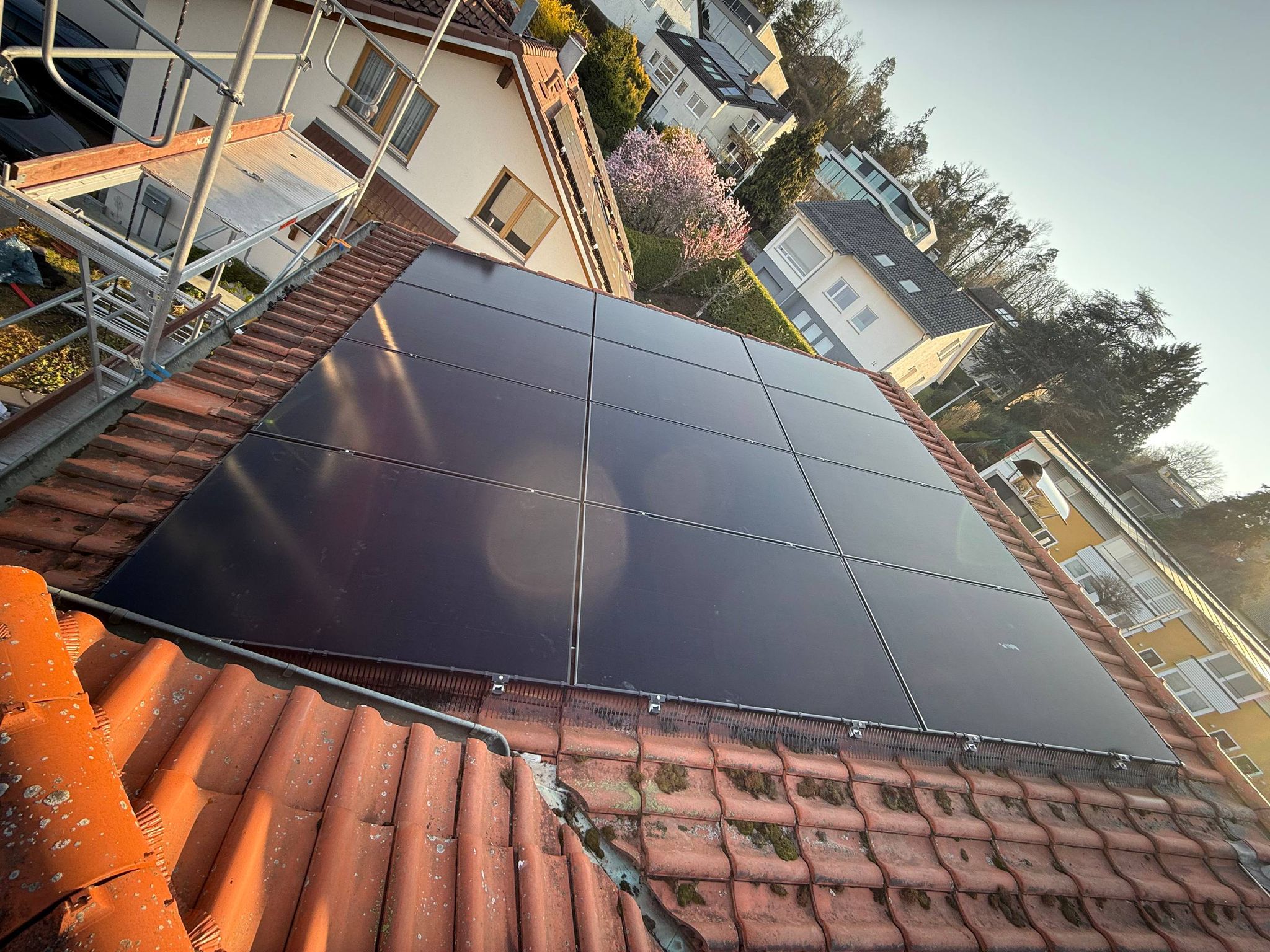 Bird mesh system installed on solar panel array