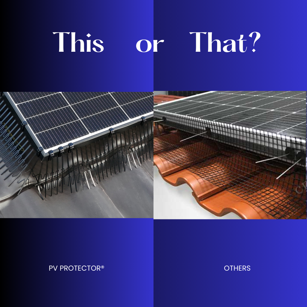 Bird protection included in solar panel installation package