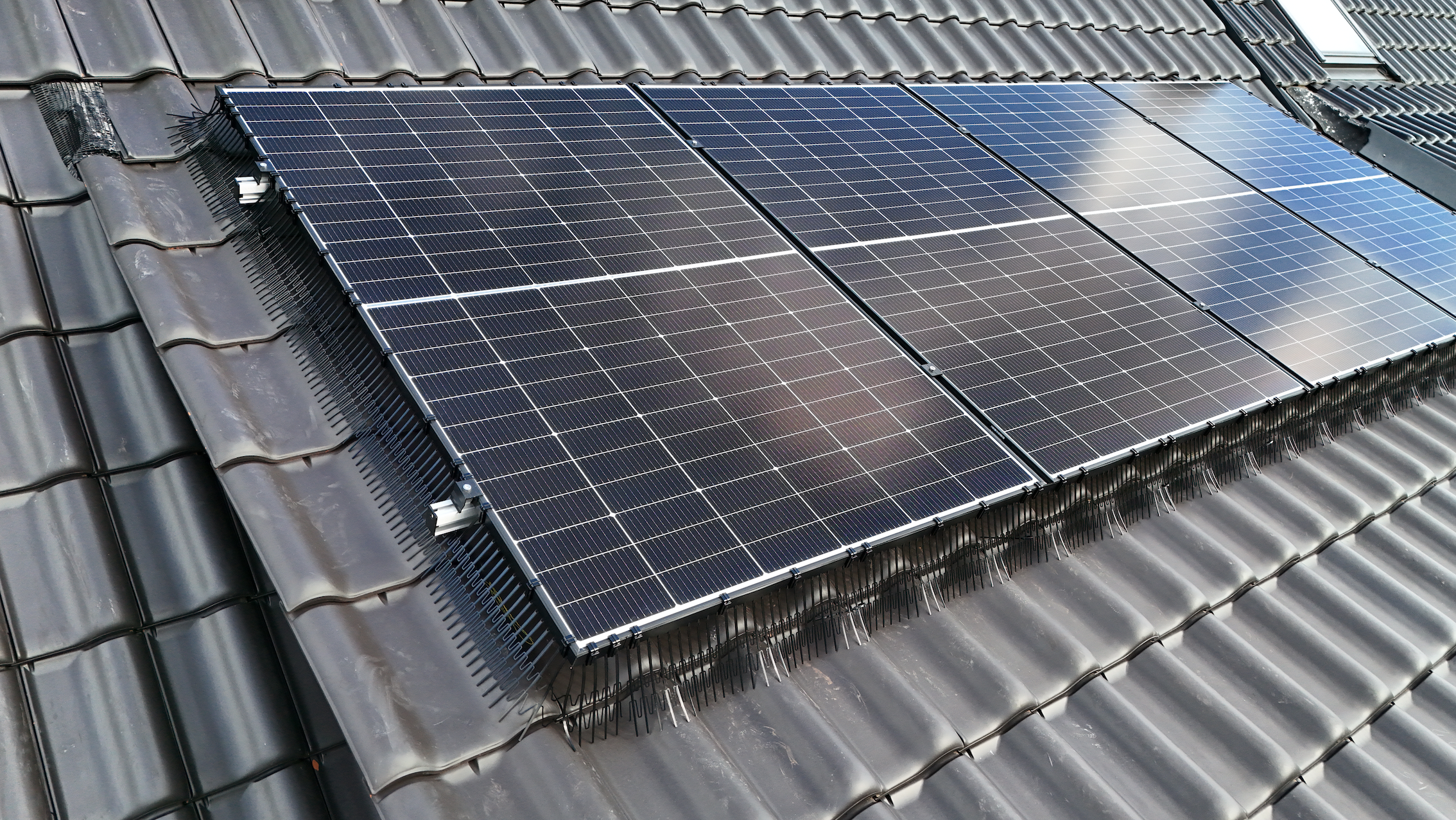 Solar panel installation requiring pigeon protection