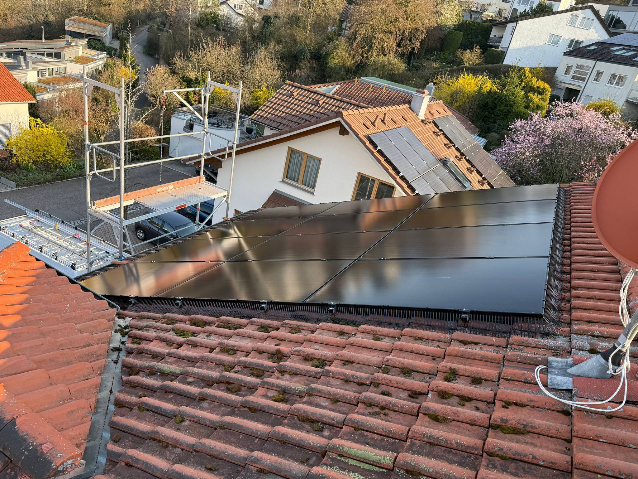 Professional bird protection system installed on solar panels