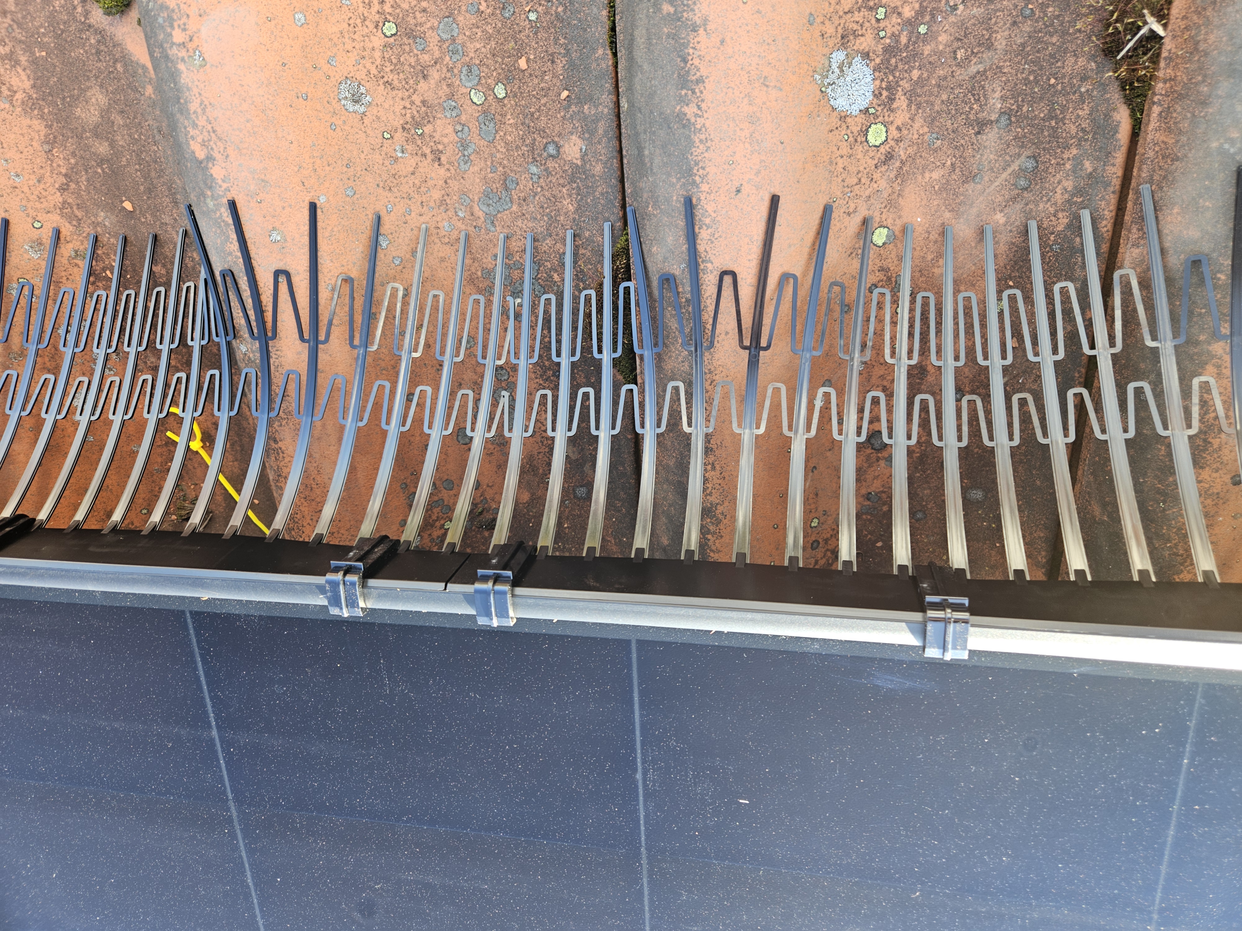 birds nesting under solar panels — PV Protector®