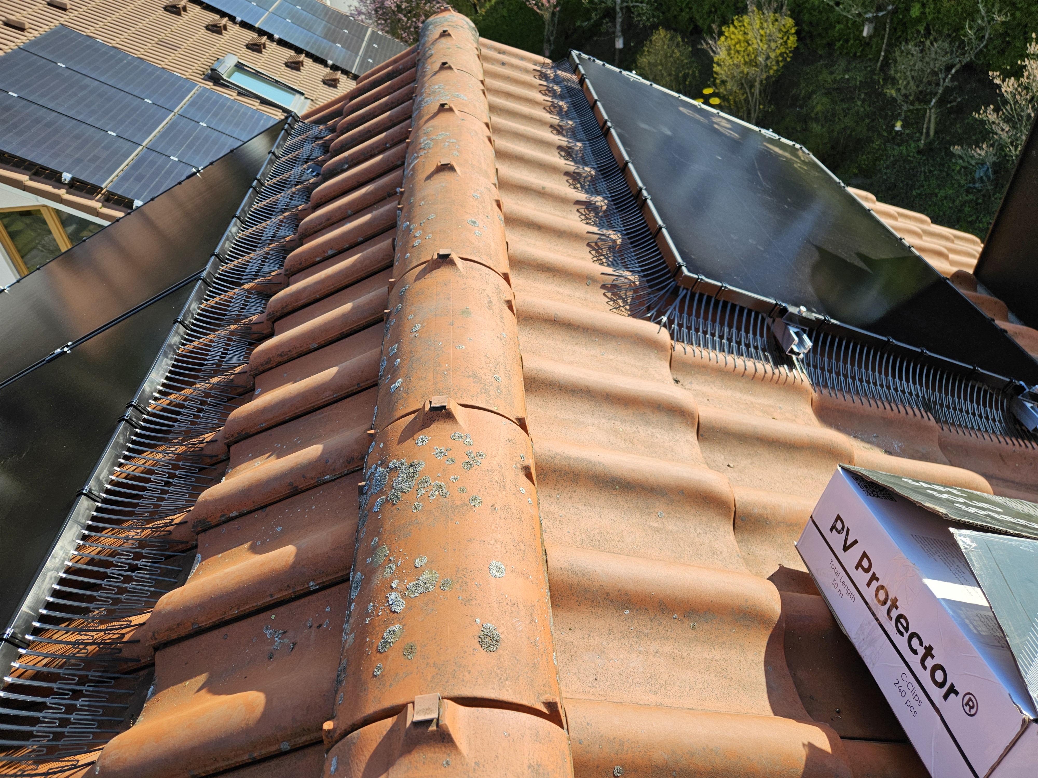 Rooftop photovoltaic system bird damage inspection