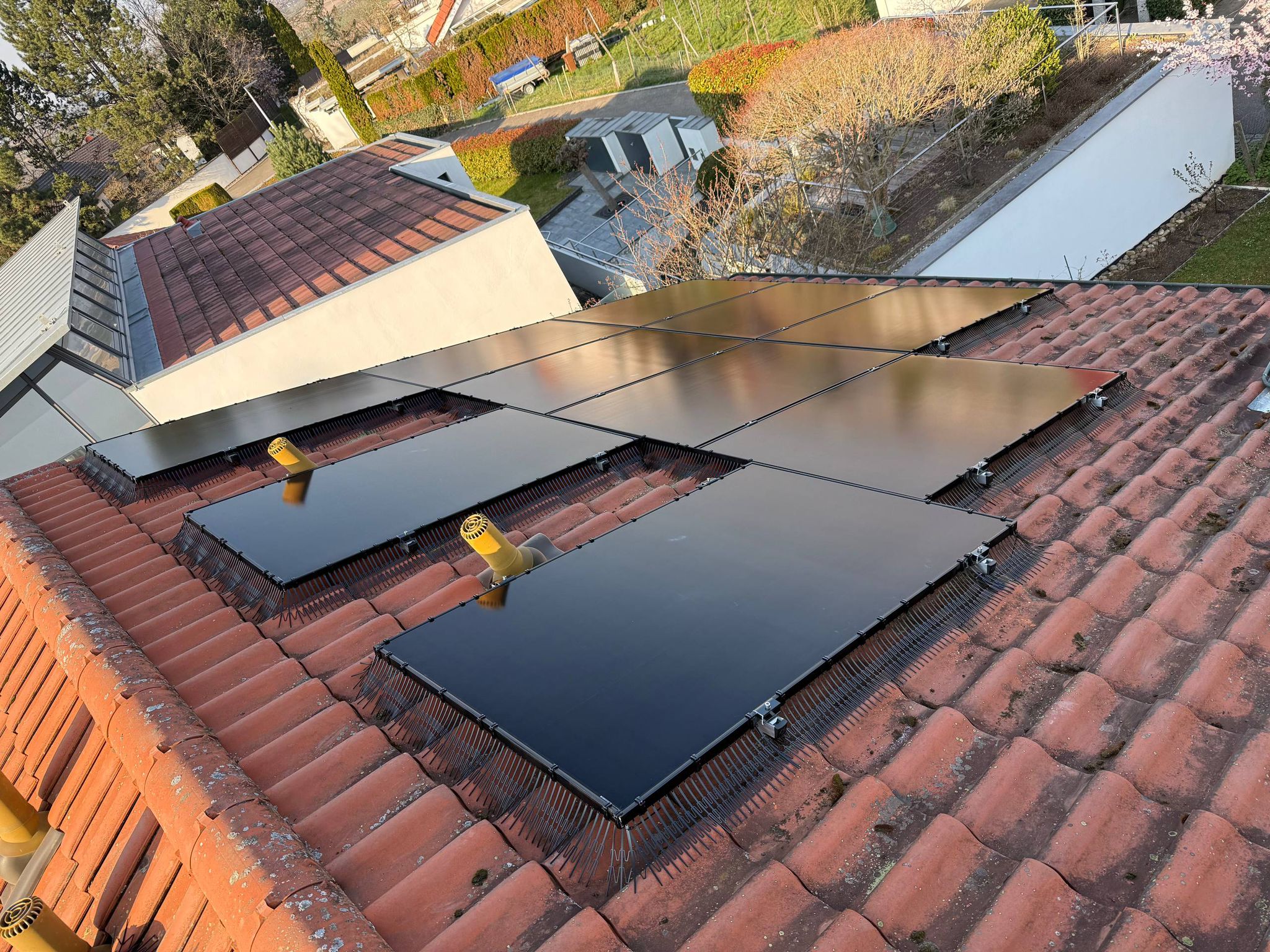 Bird protection brush allowing panel ventilation airflow