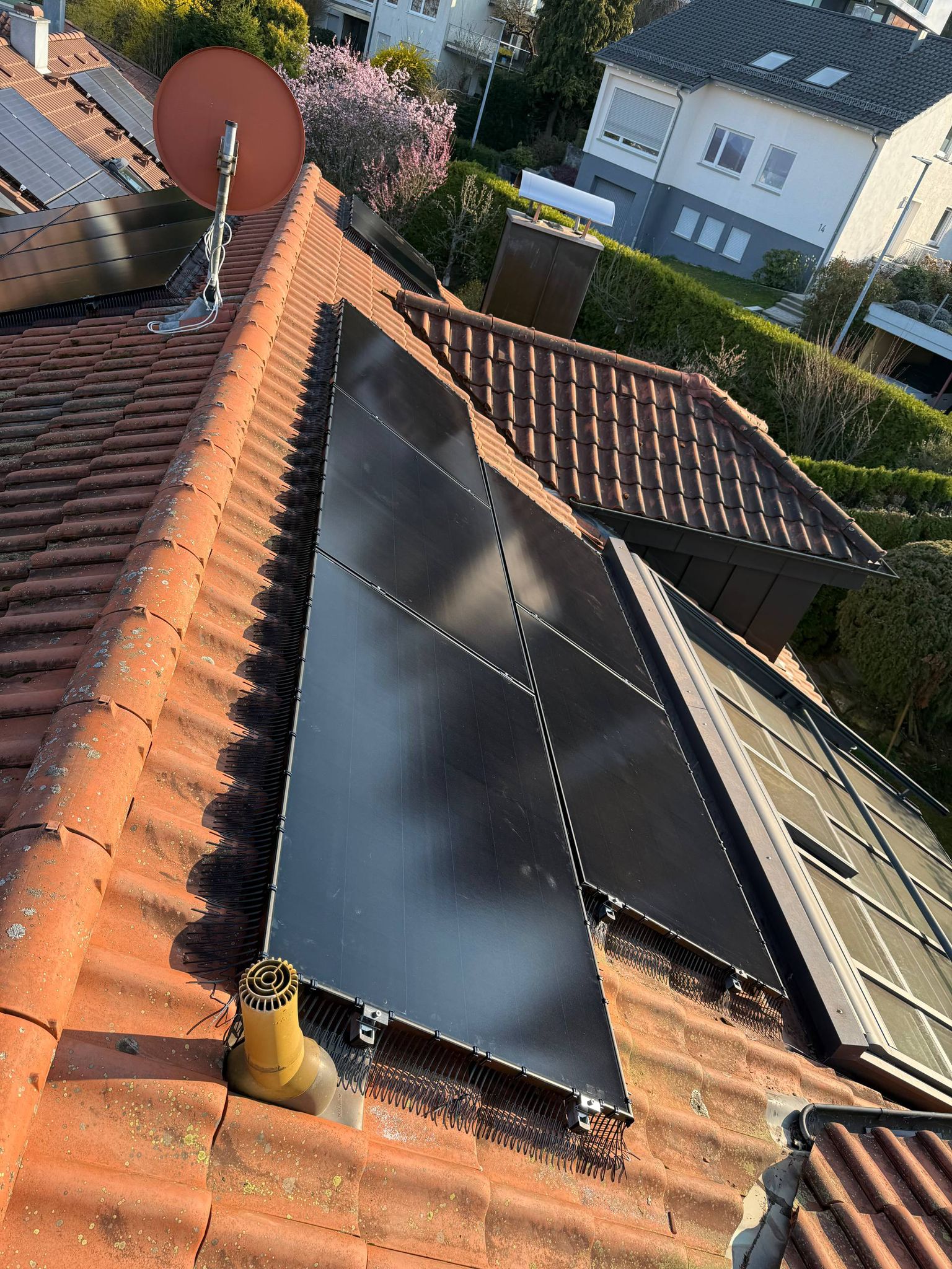 Bird droppings and nesting damage on solar panel surface