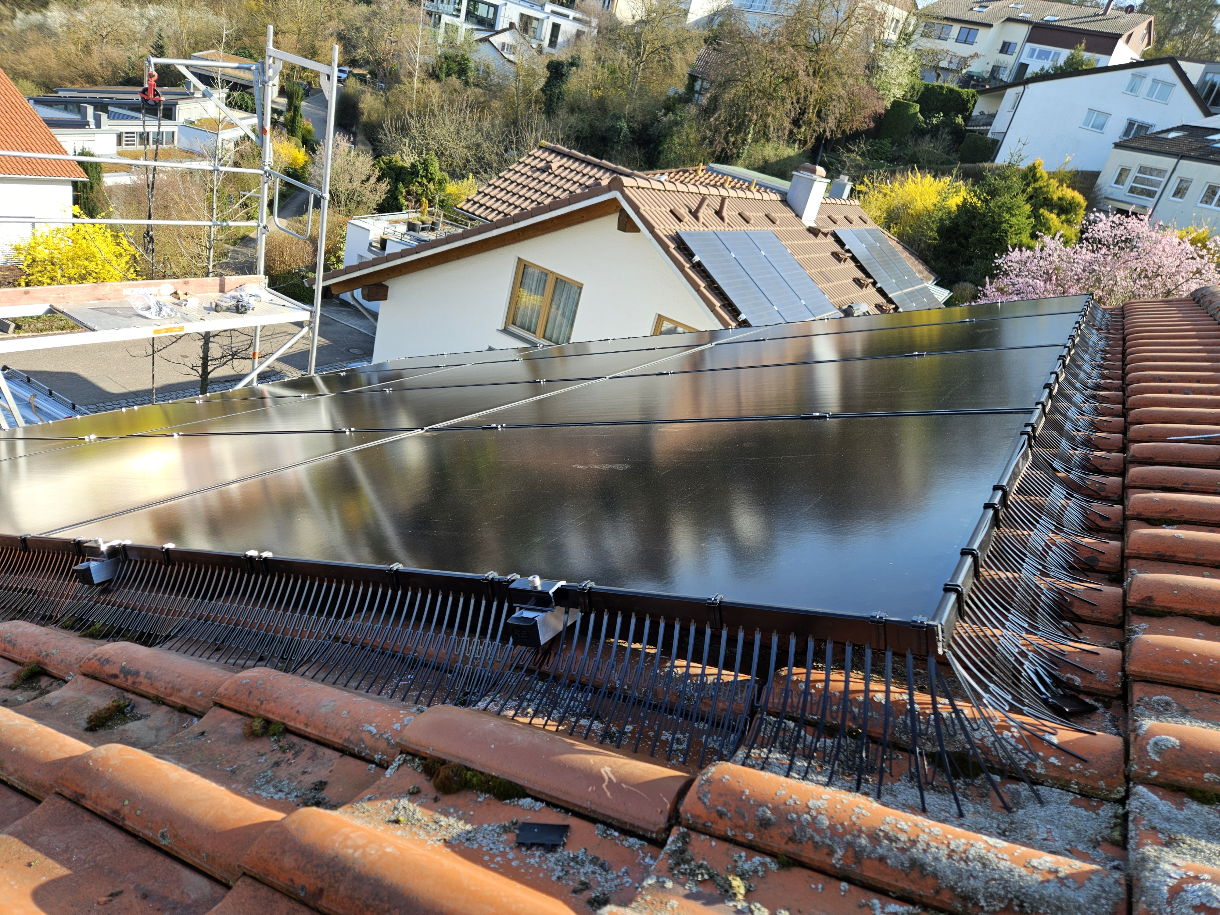 Professional bird protection system installed on solar panels